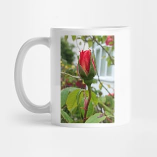 red rosebud Mug